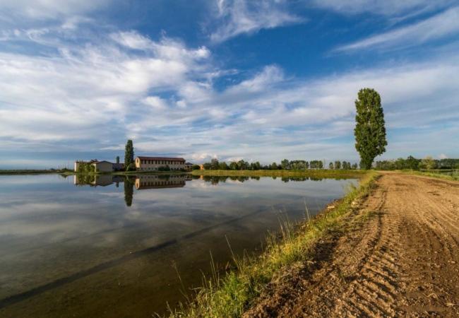 B&B Dallo Zio Ottobiano Zewnętrze zdjęcie