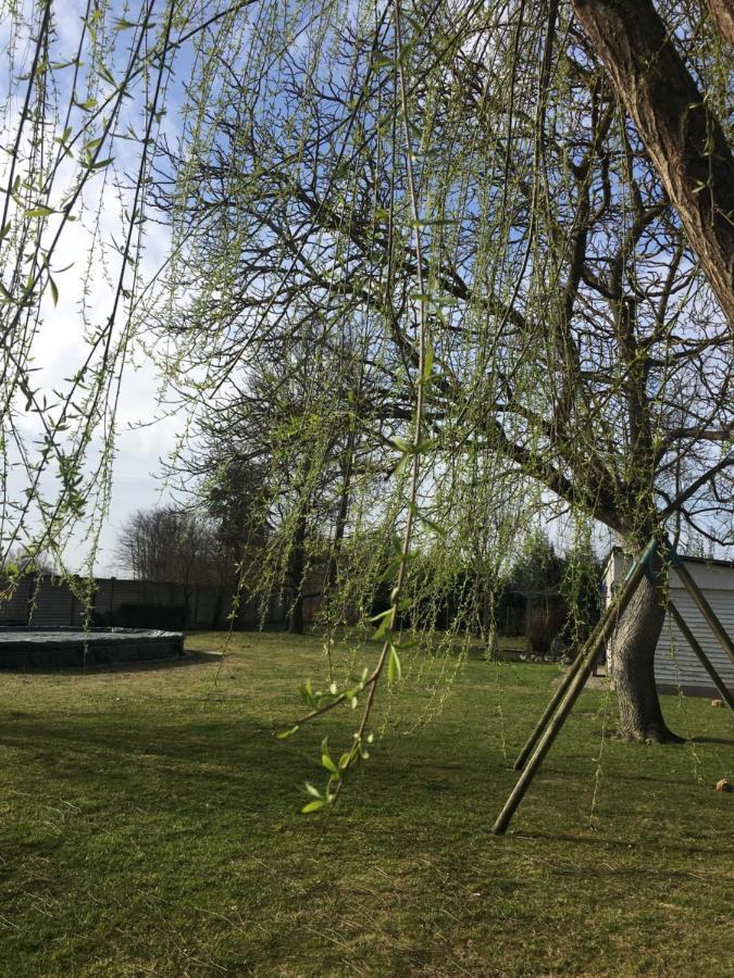 B&B Dallo Zio Ottobiano Zewnętrze zdjęcie